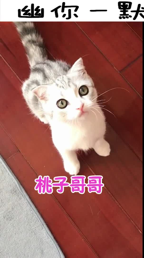 #搞笑趣事#老板够潇洒,不甜不要钱,随便尝,哈哈