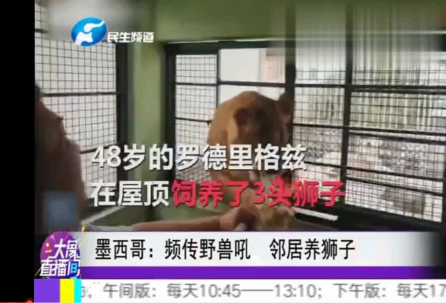 观众中来:修阳台装新窗 楼下有楼上无