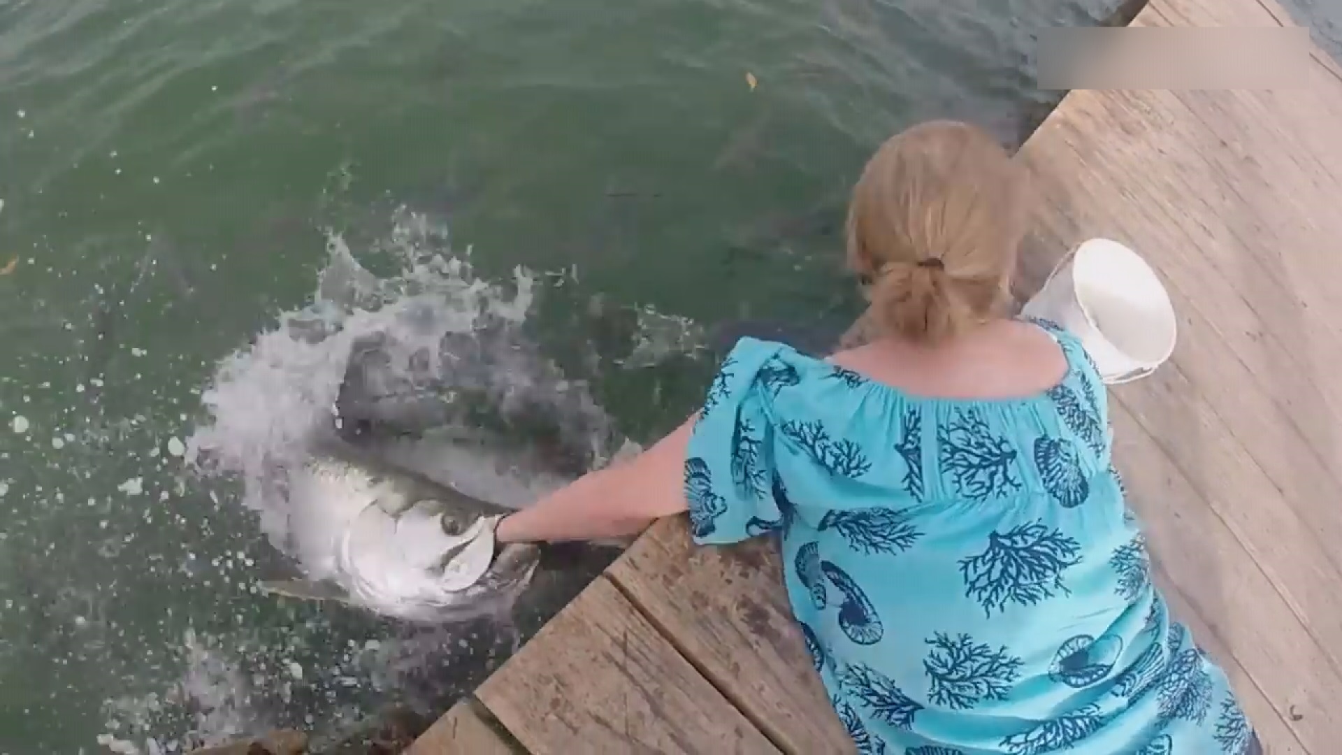 足球场的那些小二货们