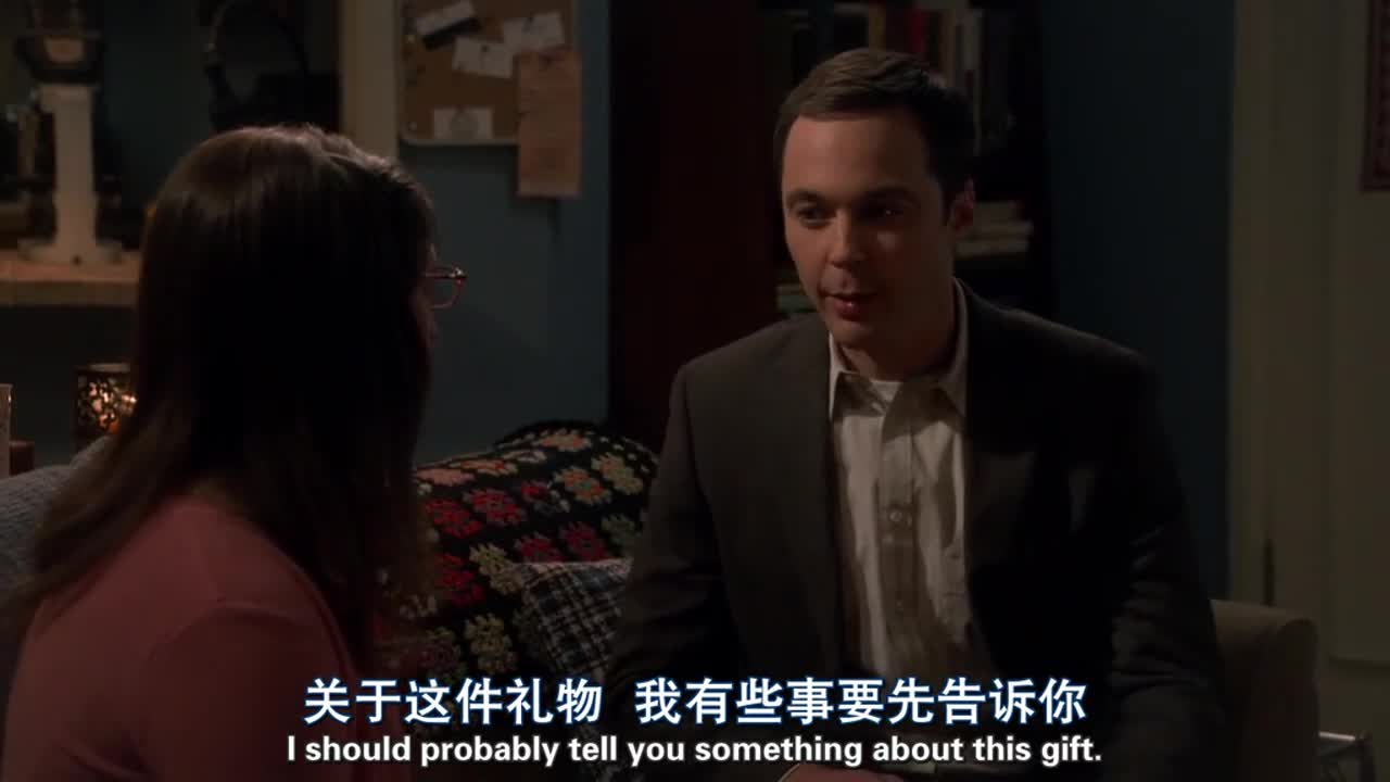 生活大爆炸 第一季视频|生活大爆炸 第一季花絮