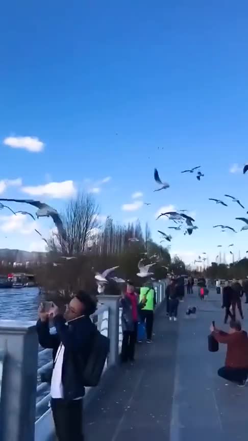 #老电影#片段恶霸擅长铁头功,被对方用铁瓢破