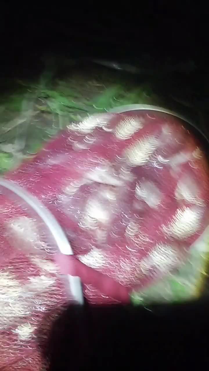 泰妹系列@新爆血深秋吧.