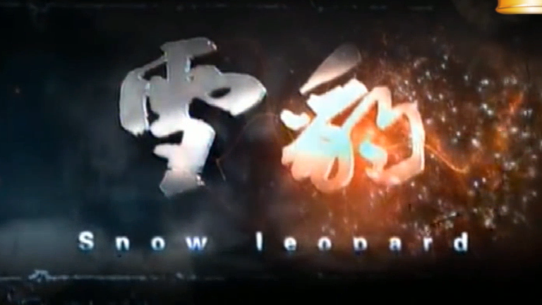 #毕业于黄埔的周卫国#影视MTV《雪豹坚强的