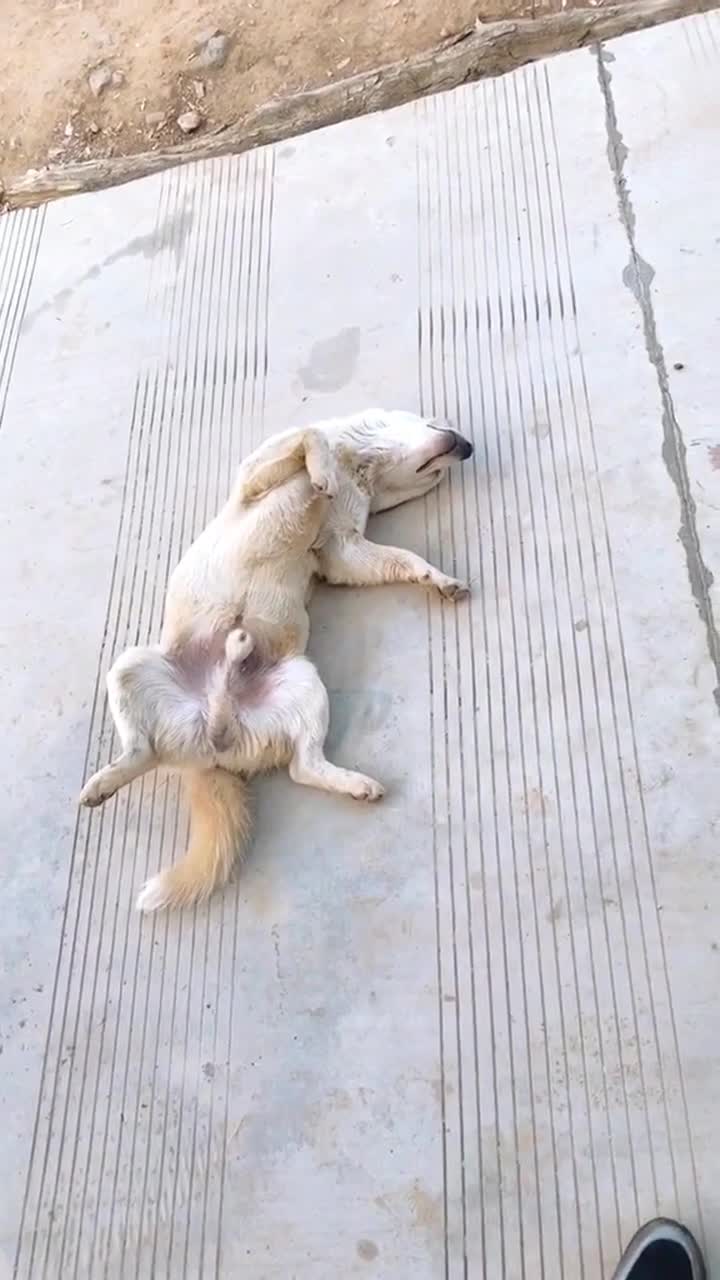 今天情人节,你是不是连个可以转账的人都没有