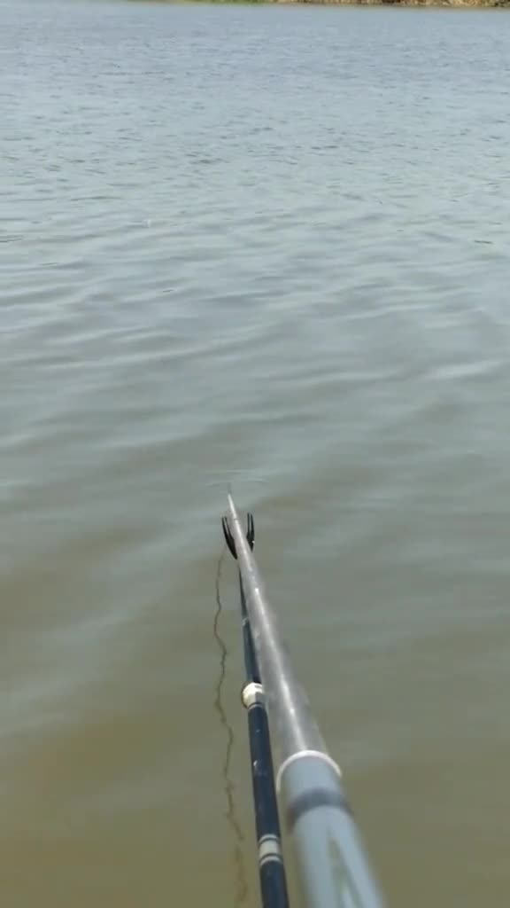 为何有的水域垂钓应用果酸无作用,是什么限制