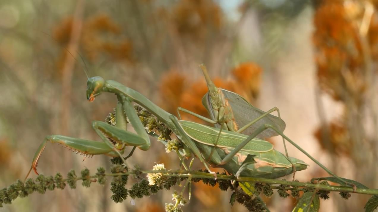 科目二考试|电影视频在线观看|迅雷电影精彩视