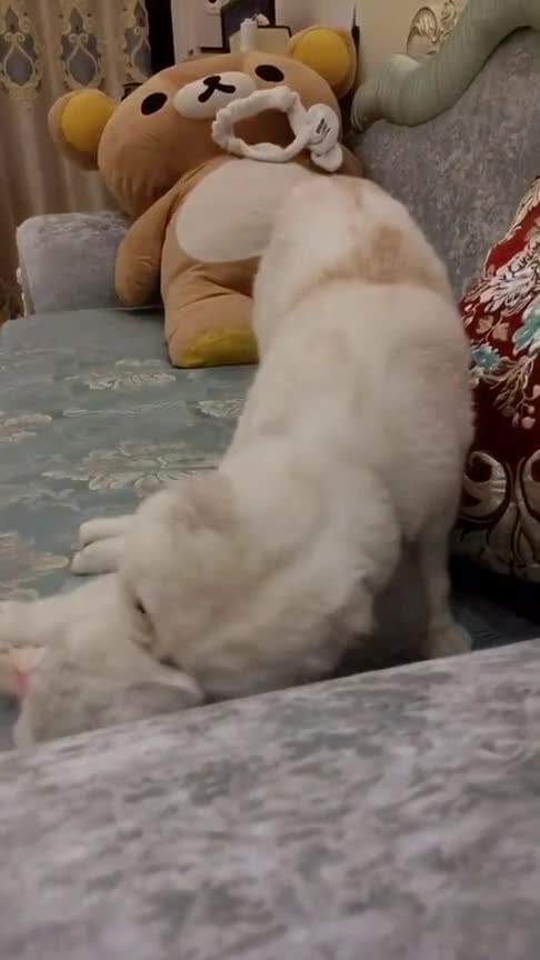 #金刚狼3#【金刚狼3】暮年狼叔被小混混欺负