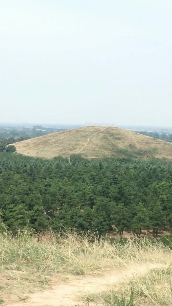 最励志北漂|电影视频在线观看|迅雷电影精彩视