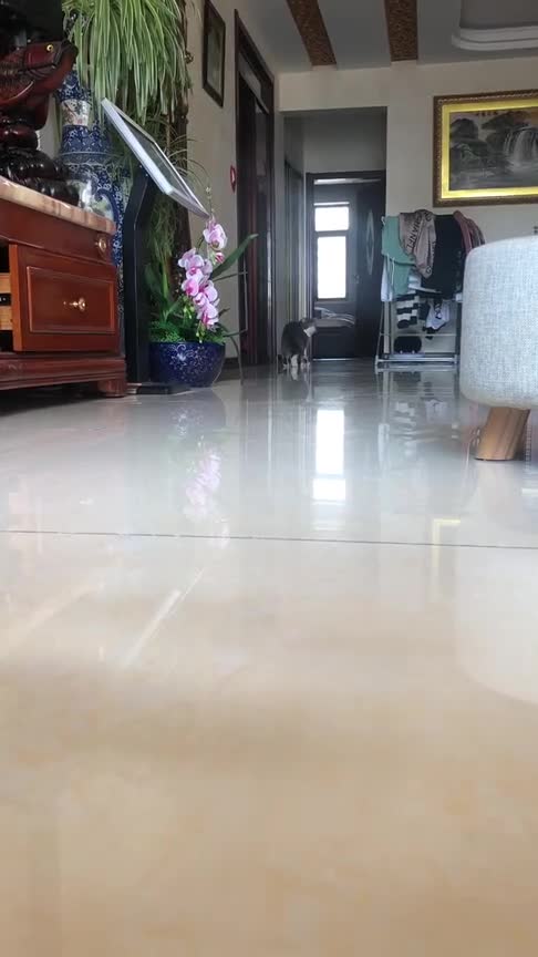 神街访:一夜七次郎是真的吗?你最多几次