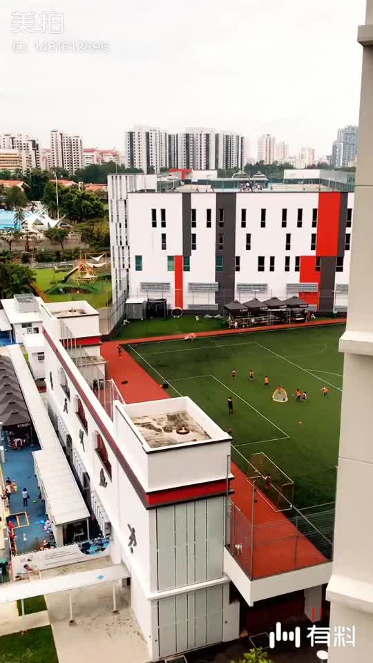 印度人新年|电影视频在线观看|迅雷电影精彩视