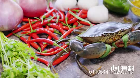 印度鸡肉专v鸡肉你做美食虎奶菌美食图图片