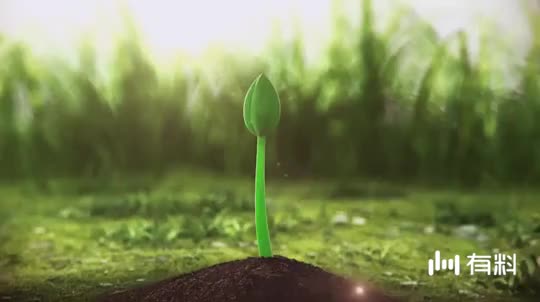 心脏支架手术后注意事项