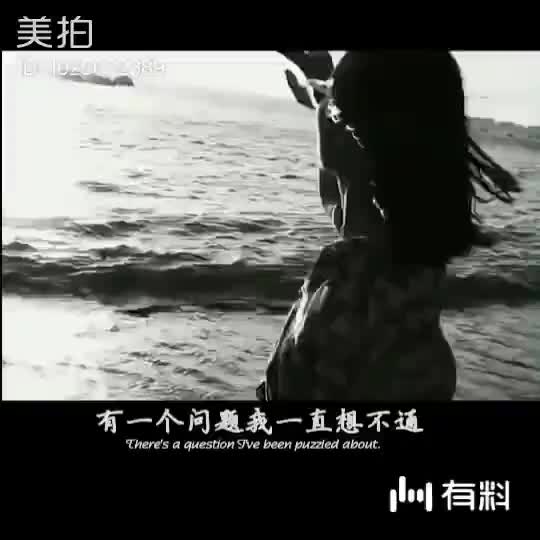 东营假种子官司开庭纪实