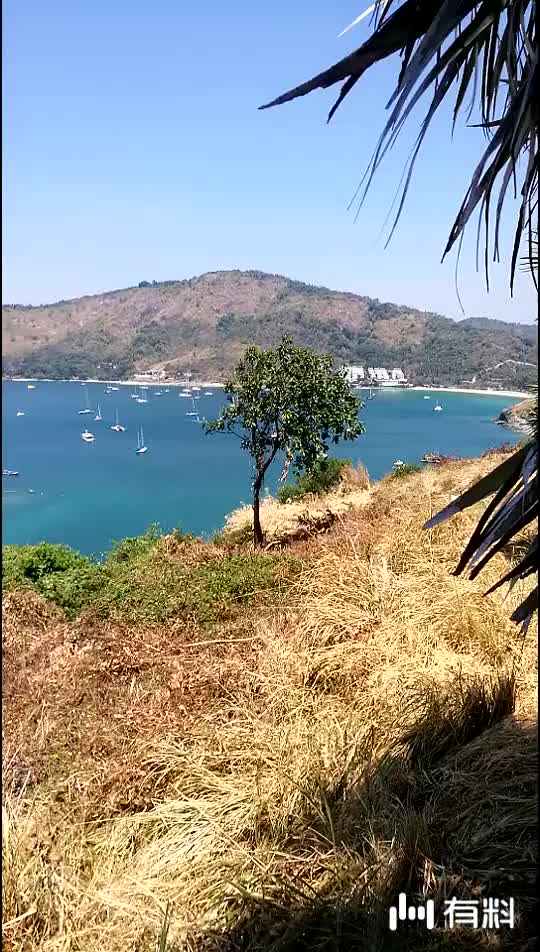 单日票房最高5部电影,《复联4》第2