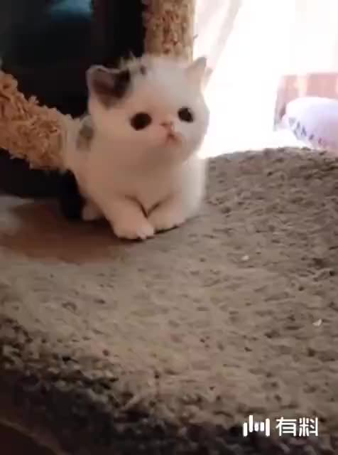 #新年套路#套路太深,以后女朋友们要是被男朋