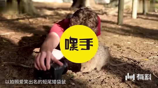 四川科斯特获得一种水平给袋式包装机专利