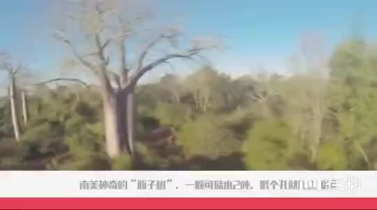 华为P30 Pro拍照对比三星S10+,样张拍出来的