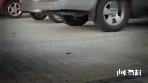 季节性鼻炎吃什么药效果最好