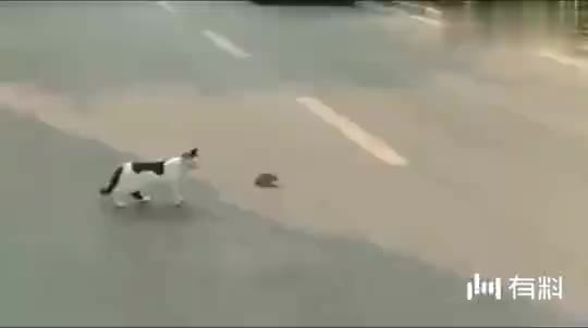 #国产手机#这首国产手机华为宣传曲《荣耀》